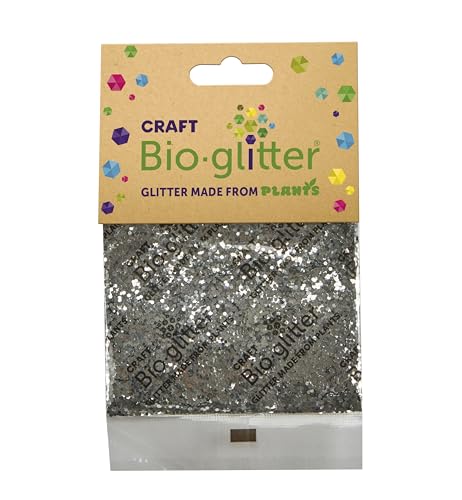 Craft Biodegradable Glitter 20g Christmas Decorations Reindeer Food Chunky Glitter Arts and Crafts for Kids Card Making Candle Making Eco-Friendly - Silver