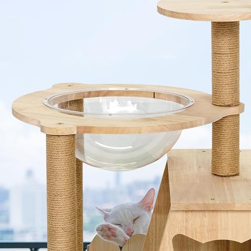 Fenêtre pour chat et perche hamac avec capsule spatiale transparente - 7