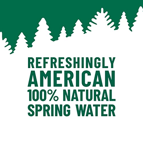 Origin DFK 100% Natural Spring Water thumb #5