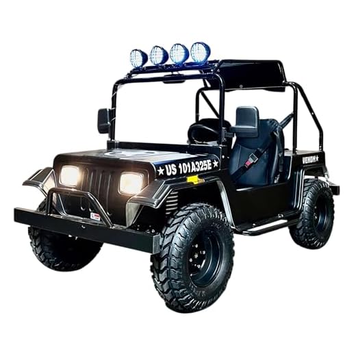 Mini Trail Rider 3000W Electric Golf Kart