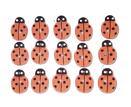 LADY BUG Insect Thumb Tacks - Set of 15 Handmade Decorative Push Pins CUTE