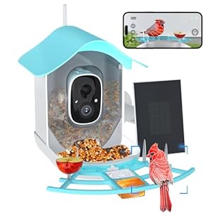 Smart Bird Feeder with Camera, AI Identify Bird Species & Solar Panel, Bird Watching Camera, Auto Capture Bird Video, Instant Bird Arrival Alert, Live View, Ideal Gift for Bird Lover