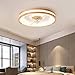 Ventilatore a Soffitto in Legno con Luce e Telecomando Moderno Ventilatori da Soffitto con Lampada Led Silenzioso Lampadario Ventilatore per Camera da Letto Camera Dei Bambini Sala da Pranzo Cucina