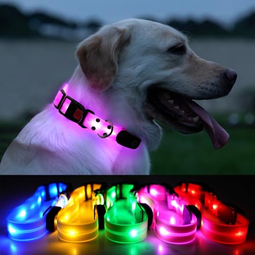 Collier lumineux pour chien rose