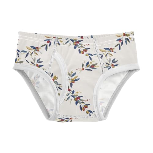 visesunny Boys Potty Training Underwear Greek Olive Wreath Breathe Cotton Briefs Size 2T-8Y for Toddler