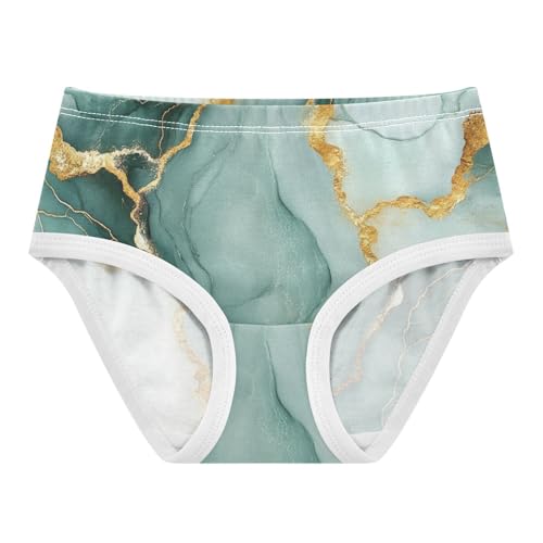 Triangle Panties Moisture-Wicking Panties Breathable Underwear for Girls in Sizes 2T,3T, 4T, 5T, 6Y and 8Y