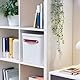 Rotho MyPaper Archivbox Dokumentenorgan. MY PAPER Plus, Kunststoff (PP) BPA-frei, weiss/blau, (40.0 x 29.2 x 29.8 cm)