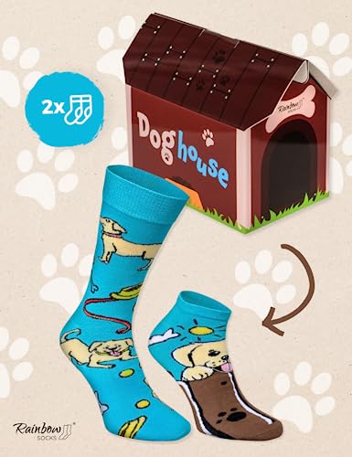 Rainbow Socks, Women Men Colourful Funny Socks with a Dog motif - Image 2
