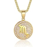Zodiac Sign Neckalces for Women 18K Gold Plated CZ Constellation Scorpio Horoscope Pendant Necklace...