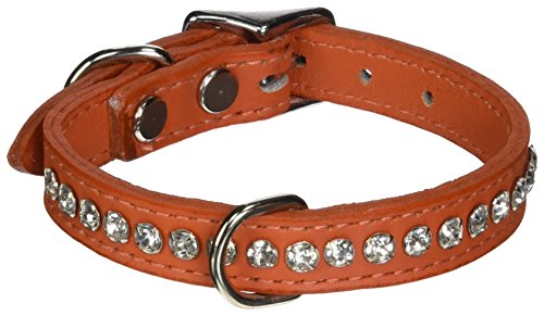 Image of Signature Leather Crystal Dog Collar, Orange Solid Grain Leather, Fits 7.5 inch-9.5 inch Neck Size, 12 inch Overall Length