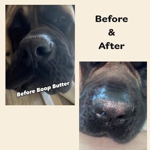 Image of Boop Butter (2 Oz Jar) - Soothing Skincare for Dogs