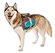 Cesar Millan Hunde-Rucksack, Größe M