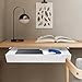 BAIODNB 19 In Office Mounted Sliding Under Desk Pull-out Drawer,Under Flat-Top Desk Storage Ideal for Sit-Stand,Standing Desk Drawer Attachment Under Desk Drawer Slide Out（White）