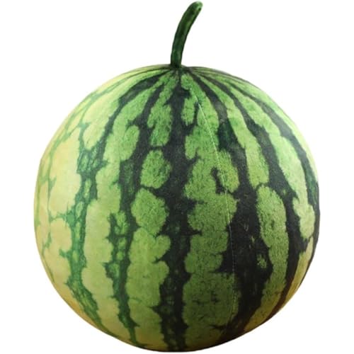 Joxoilso �X�C�J�^ �ʂ������ ������ �t���[�c�N�b�V���� �������� �\�t�@�[�p ������ ���킢�� �C���e���A �ʔ��� �ӂ�ӂ� �O�b�Y (25*25cm)