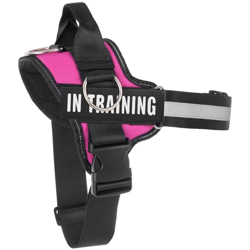Essential Dog Harness, No Pull Pet Harness with 3 Side Rings for Leash Placement, No Choke, Reflective, Easy On-Off & Improved Control Handle, Training, Walking, Running (Rose, S)
