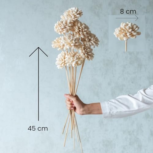 Image of White Sola Fancy Flower 8 cm On Stem (10 Sticks) |Natural Dried Flower |Eco-Friendly Flowers for Home,Office,Bedroom,Table Decoration and Craft Items Corner (Without Vase Pot)