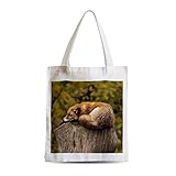 Hochauflösendes direktes Digitaldrucken mit pigmentierter Tinte. Hohe Lebensdauer ökologischer Druck. Wasserdicht und maschinenset bei 40 Grad