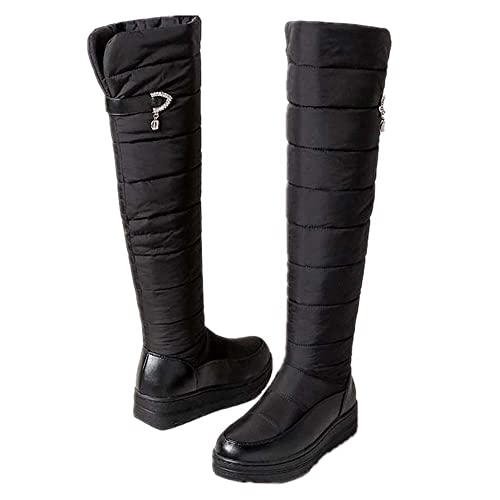 [garranis] Xm[u[c C y h u[c fB[X C Ou[c  傫TCY h ~ C N  hh H t@Xi[ XL[ Xm[V[Y O  y ~ ȌC ʋ ʊw (u