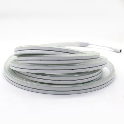 Fita Neon Led 5m 12v Corte 2,5cm Flexivel Alto Brilho (Branco Frio)