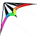 HENGDA KITE-Lightning 48 Inch Dual Line Stunt Kite for Kids and Adults, Outdoor Sports,Beach and Fun Sport Kite,Handle,Line,and Bag Included