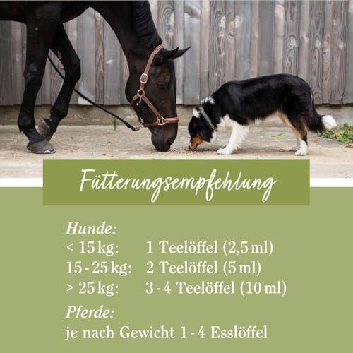 Premium Lachsöl für Hunde & Pferde| Omega 3-6-9 | Atlantischer Lachs aus Norwegen | 1 Liter | Sanct Bernhard tierlieb