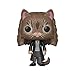 Funko 35509 POP Vinyl Harry Potter S5 Hermione Gato, Negro/Marrón, Talla única (35509)