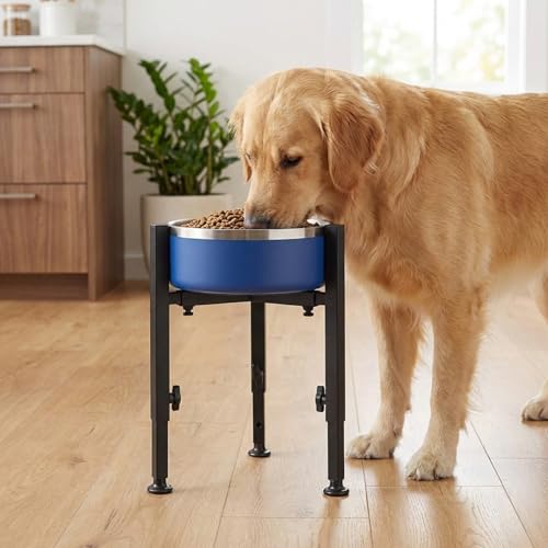 Support de gamelle pour chien réglable surélevé et antidérapant avec mangeoire - 3