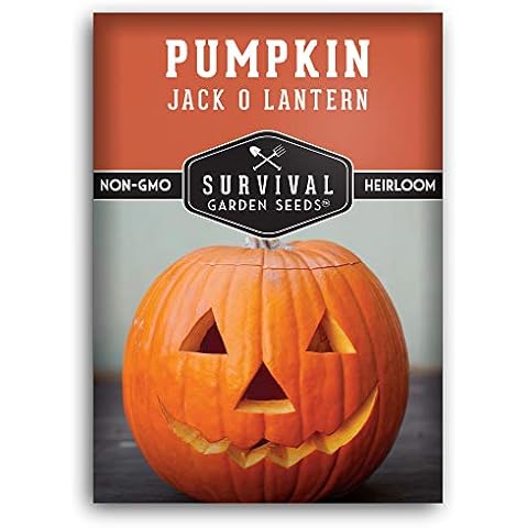 Survival Garden Seeds - Jack-O-Lantern Pumpkin Seed for Planting Cover