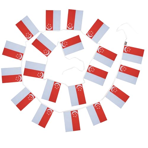 Image of AZ FLAG Singapore 6 meters BUNTING Flag 20 flags 9'' x 6'' - Singaporean STRING flags 15 x 21 cm