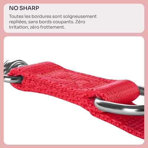 Laisse pour petit chien et chat Chaba robuste design rouge M - 7