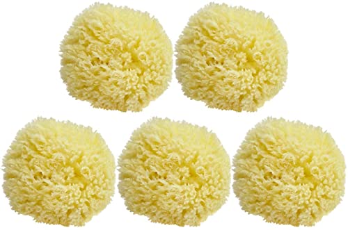 Esponja de mar natural para evitar irritaciones corporales, kit de 5 esponjas de baño de 10 cm