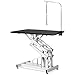 WEALTHGIRL Modern Pet Grooming Table, Professional Hydraulic Dog Pet Grooming Table Heavy Duty Big Size Z-Lift Pet Grooming Table Height Adjustable from 21IN to 36IN (Black)