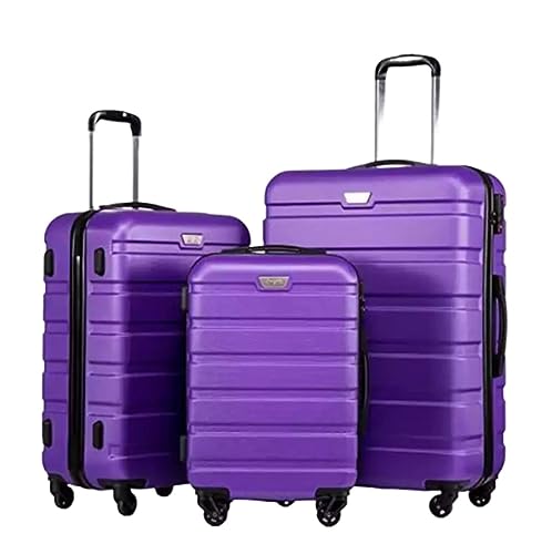Checked Luggage Carry On Luggage 3-Piece ABS Luggage Set with Locks, Includes 20