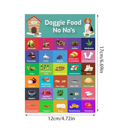Sichere Hundediät – Sicherheitsratgeber mit 30 Lebensmitteln, bunter Magnet-Sicherheitsliste | Fütterungstabelle für Hunde, Tabelle mit Nahrungsmitteln, die Hunde nicht essen sollten, Bilder von Gesun