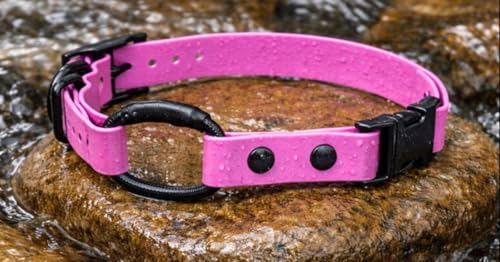 Image of 3 /4 inch e-Collar Bungee Collar Strap, Waterproof (Red 3 /4 inch)