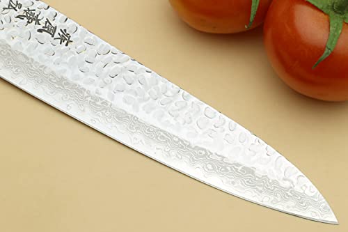 Yoshihiro VG10 46 Layers Hammered Damascus Gyuto Japanese Chefs Knife (Octagonal Ambrosia Handle) (8.25