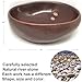 XIOFU Natural River Stone Reptile Food Bowl - Handmade Pebble Dish for Reptiles, Amphibians, Hedgehogs, and Small Pets - Unique Size, Shape & Color - Water & Food Bowl (Crimson red)
