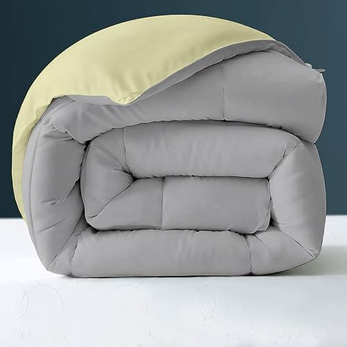 Image of Day Care - 500 GSM Hotel Quality-Down Alternative Reversible Comforter (60 inch x 90 inch Inches /228cm x 228cm) - Comforter Single Bed|Ivory /Silver