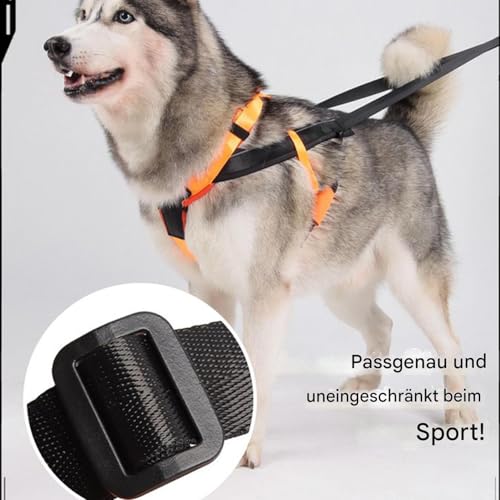 GTFYUDGH Schlittenhund Geschirr,Reflektierendes Großes Hundegeschirr - Komfortables Verstellbares Gurtzeug Für Schlitten Training Outdoor Aktivitäten