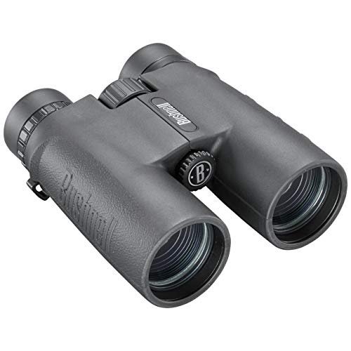 bushnell 10x42 binoculars