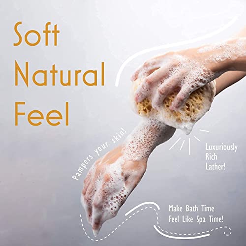 Myhomebody 1514-806 Bath Sponge, Foam Loofah Sponge, Body Sponge thumb #2