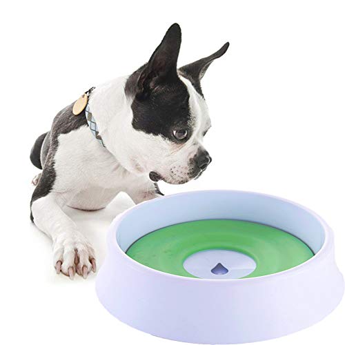 Best Nice Dog Bowls