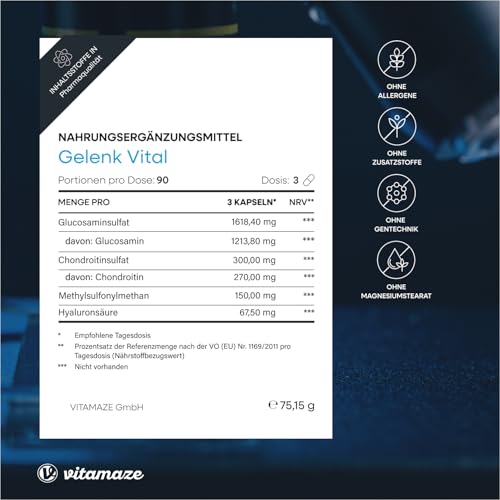 Vitamaze Kapseln hochdosiert mit Glucosamin + Chondroitin + Hyaluronsäure + MSM, 90 Kapseln als 1 Monatskur, Natürliche Nahrungsergänzung ohne Zusatzstoffe, Made in Germany