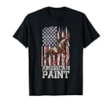 USA Flag American Paint Horse, Horseback Riding