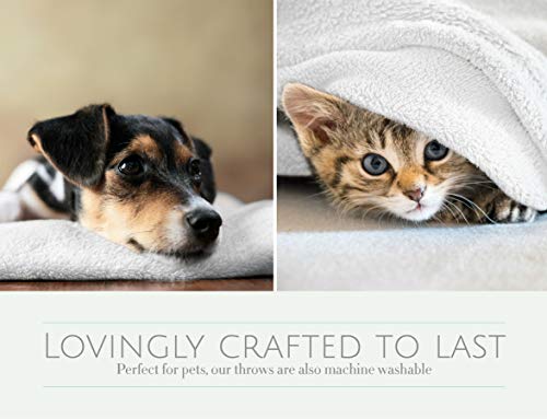 The Firefly Collection Ultra Plush Throw Blanket - Fluffy Blanket For Home And Travel, 50 X 70 Inches Ivory #TOP4