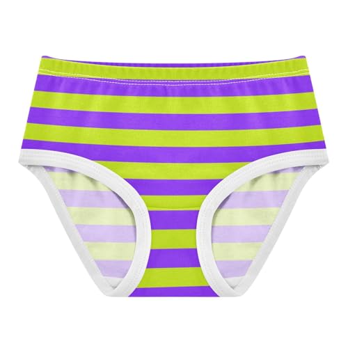 Green Purple Stripe Toddler Girls's Underwear 2T