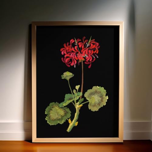 Poster Géranium Pathos Studio A2 | Idée Décoration Murale Salon Élégante
