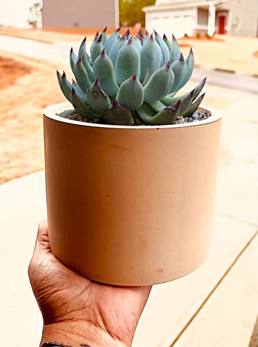 Osilifen Big Round Silicone Planter Mold, 7 Inch Large Round Concrete Molds For Cylinder Flower Pot Making, Diy Handcraft #TOP6