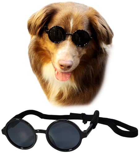 G001-Medium-Breeds-20-40-lbs-Dog-Cat-Pet-Costume-Prop-Round-Sunglasses-Black - Cucciolini Doodles   G001-Medium-Breeds-20-40-lbs-Dog-Cat-Pet-Costume-Prop-Round-Sunglasses-Black