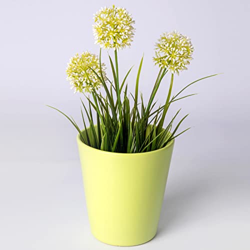 La Briantina Vaso Decorativo per Fiori in